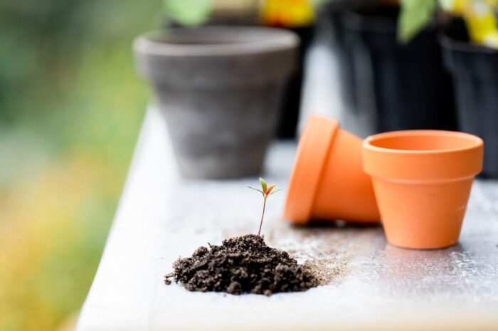 Astuces jardinage et bricolage: des solutions simples et efficaces pour votre espace extérieur